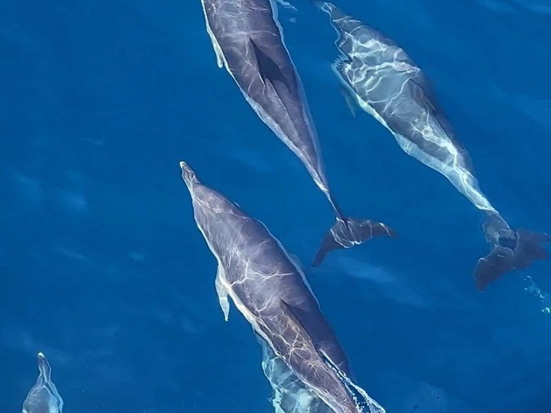 Atlantic Crossing Diaries&nbsp;2